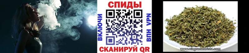 omg ТОР  Онега  Бутират вода 