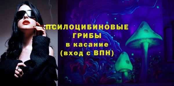 Альфа ПВП Белокуриха