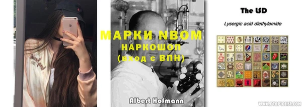 Альфа ПВП Белокуриха