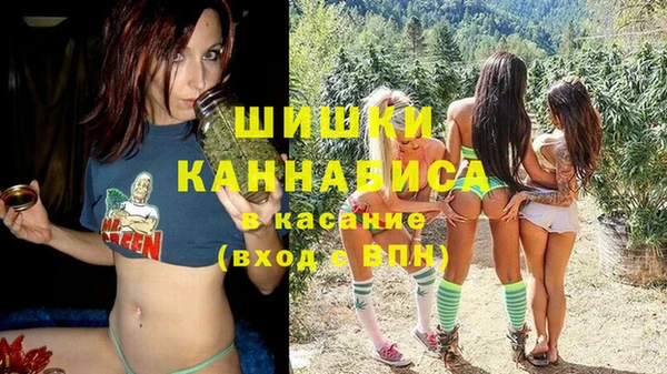 Альфа ПВП Белокуриха