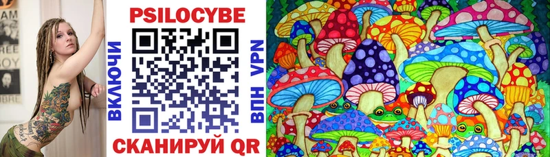 как найти наркотики нарко площадка телеграм Галлюциногенные грибы Cubensis Онега